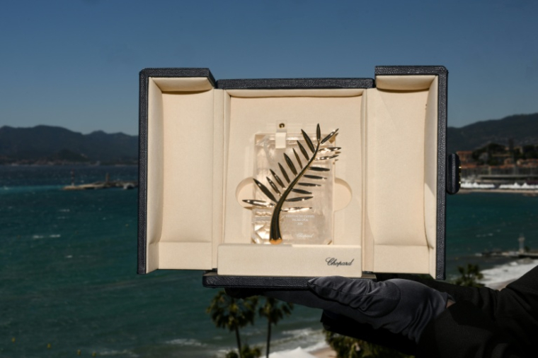 Le trophée de la Palme d'Or de la 79e édition du Festival de Cannes, prise à l'Hôtel Martinez à Cannes, dans le sud de la France, le 12 mai 2026 ( AFP / Olivier CHASSIGNOLE )