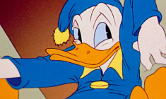 Ces Donald auxquels on a envie de souhaiter une bonne fête