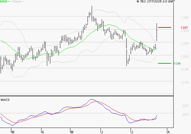 CARREFOUR SA : Peu de risque à moyen terme