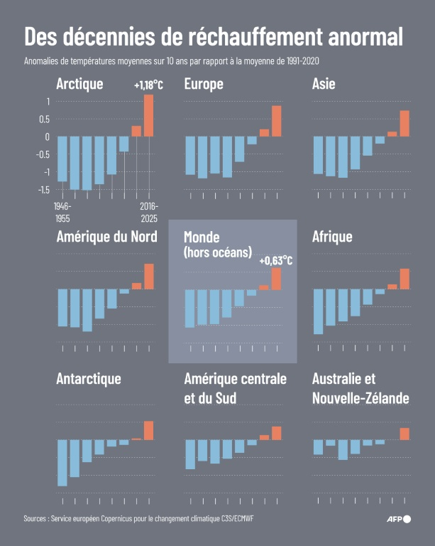 Des décennies de réchauffement anormal ( AFP / Sophie RAMIS )