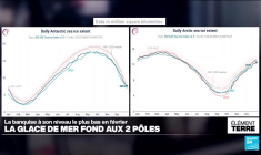 Le record de fonte de la banquise aux deux pôles atteint en février 2025