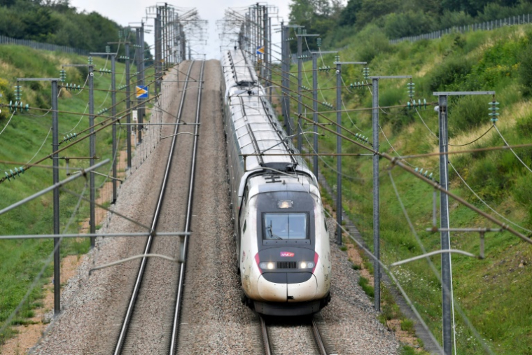 L'âge moyen du réseau ferroviaire français atteint près de 29 ans là où, en Allemagne, il est de 17 ans, et en Suisse, référence mondiale en la matière, 15 ans ( AFP / JEAN-FRANCOIS MONIER )