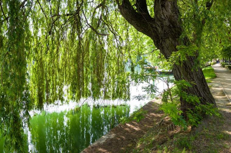 4 virées à faire à moins de 100 km de Paris (Crédits photo : Shutterstock)