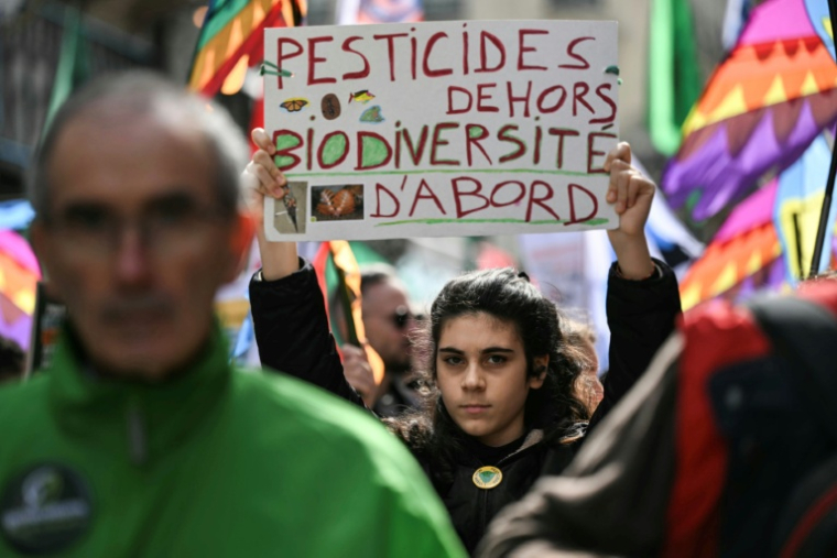 Des manifestants rassemblés pour l'édition 2026 de la "Marche pour un Printemps Bruyant" contre l'usage des pesticides, à Paris, le 4 avril 2026 ( AFP / Anna KURTH )