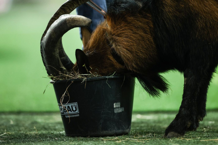 Le raté de l’année vient de D2 croate