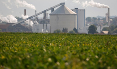 Photo d'archives de la sucrerie Tereos à Escaudoeuvres