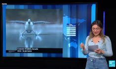 Des scandales de paris illégaux éclaboussent la NBA