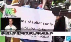 Une délégation au conseil de sécurité de l'ONU au Sahel