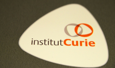 Cancer du sein: à l'Institut Curie, la recherche explore les tumeurs sur puce ( AFP / DOMINIQUE FAGET )