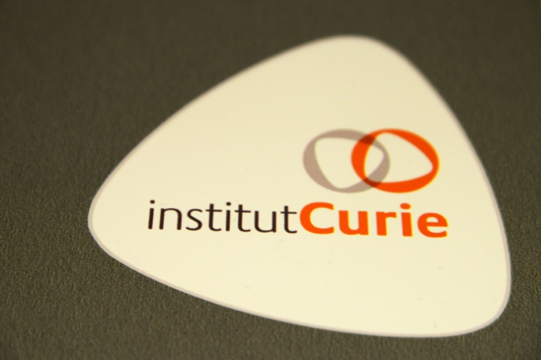Cancer du sein: à l'Institut Curie, la recherche explore les tumeurs sur puce ( AFP / DOMINIQUE FAGET )