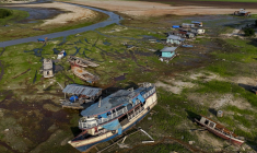 Grave sécheresse au lac Aleixo, au Brésil, le 20 septembre 2024. ( AFP / MICHAEL DANTAS )