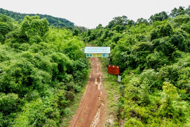 Vue aérienne d'une route menant à une station de réintroduction de tigres dans le parc national des Cardamomes, dans la province de Koh Kong, le 11 juin 2026 au Cambodge ( AFP / Suy SE )