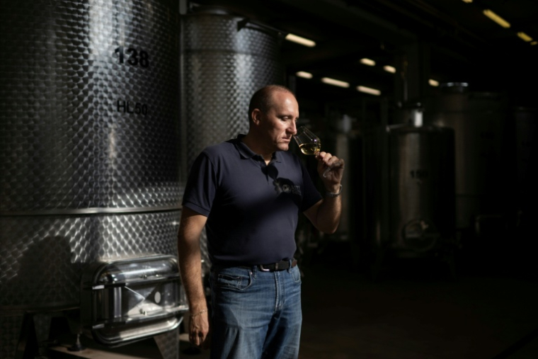 Stefano Ricagno, président l'appellation d'origine contrôlée "Asti", goûte un Moscato à Castel Boglione, le 17 septembre 2025 ( AFP / MARCO BERTORELLO )