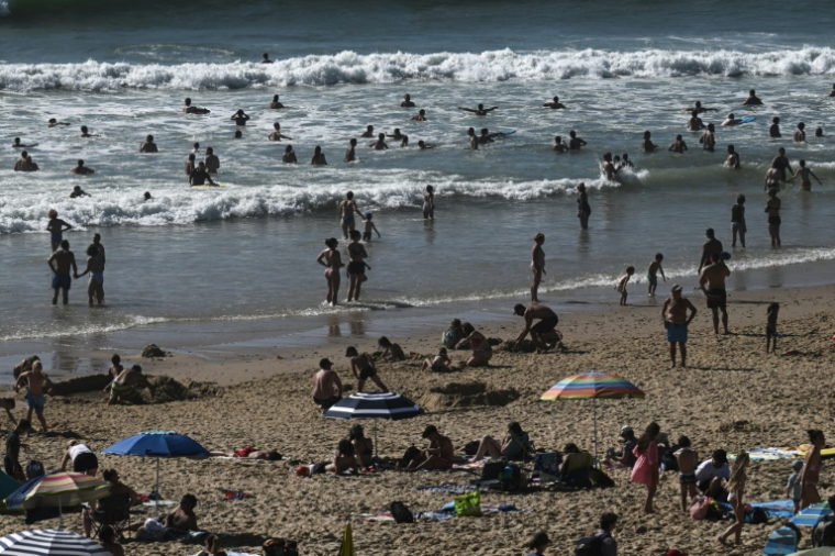 Des vacanciers sur une plage à Lacanau, lel 8 août 2024 en Gironde ( AFP / Philippe LOPEZ )