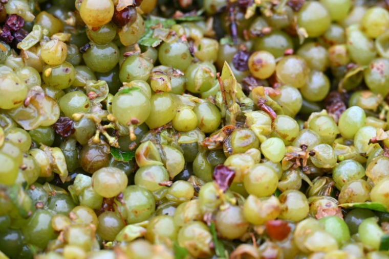 Raisin récolté à La Palme (Aude) le 30 juillet 2026 ( AFP / Lionel BONAVENTURE )