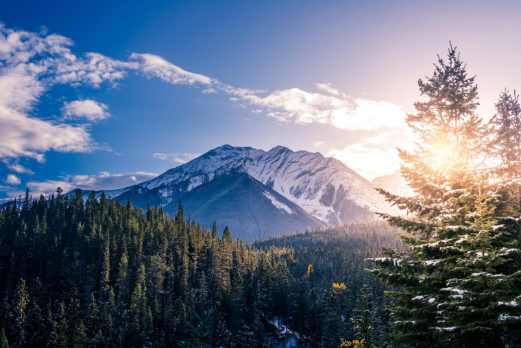 Forêts flamboyantes en automne, festivals vibrants en été, le Canada offre mille et une raisons de s’y rendre. (Crédits: Unsplash - Neil Rosenstech)