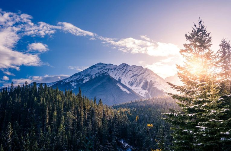 Forêts flamboyantes en automne, festivals vibrants en été, le Canada offre mille et une raisons de s’y rendre.  (Crédits: Unsplash - Neil Rosenstech)