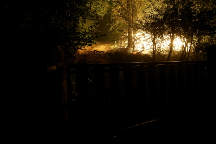 Un incendie dans la forêt de Fontainebleau, le 12 juillet 2026 à Noisy-sur-Ecole, en Seine-et-Marne ( AFP / GEOFFROY VAN DER HASSELT )