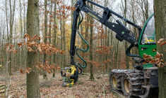 Une abatteuse forestière se dresse dans une forêt près d'Annarode, face à un tas de bois de hêtre fraîchement coupé pour alimenter la raffinerie du groupe finlandais UPM ( AFP / JENS SCHLUETER )