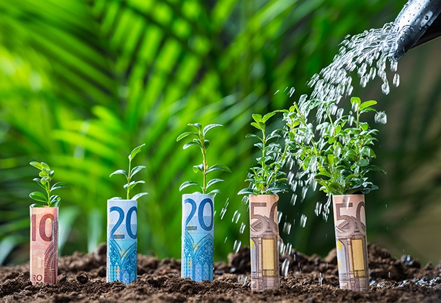 Ce que les jeunes adultes devraient faire pour préparer leur retraite