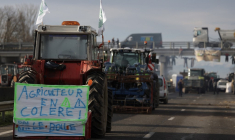 Des agriculteurs manifestants sur l'A64, près de Carbonne, le 18 janvier 2024. ( AFP / VALENTINE CHAPUIS )