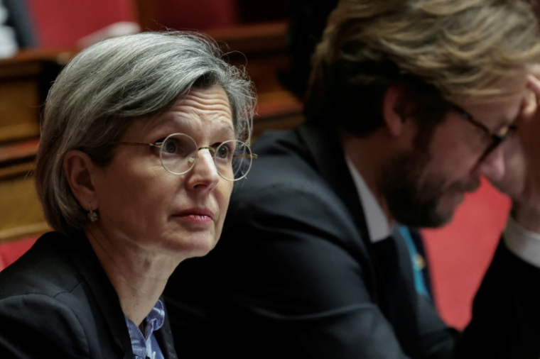 Sandrine Rousseau à l'Assemblée nationale, le 20 janvier 2026 ( AFP / STEPHANE DE SAKUTIN )