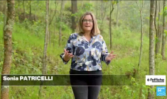 Émission spéciale : “Rwanda : une renaissance artistique” (3/3)