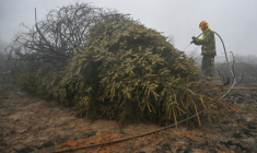 Un pompier arrose un sol et une végétation brûlés lors d'une intervention contre l'incendie dans la réserve naturelle des Hautes Fagnes, dans l'est de la Belgique, le 18 août 2026 ( AFP / JOHN THYS )
