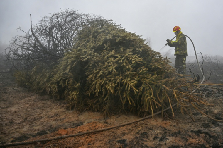 Un pompier arrose un sol et une végétation brûlés lors d'une intervention contre l'incendie dans la réserve naturelle des Hautes Fagnes, dans l'est de la Belgique, le 18 août 2026 ( AFP / JOHN THYS )