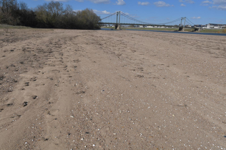 Le fleuve de la Loire asséché, à Montjean-sur-Loire, le 26 février 2023. ( AFP / JEAN-FRANCOIS MONIER )