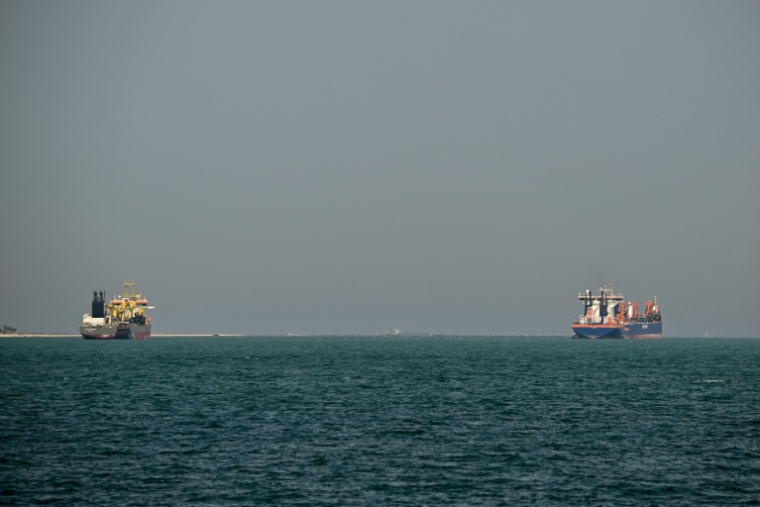 Des bateaux de commerce au large de Dubaï le 11 mars 2026 ( AFP / - )