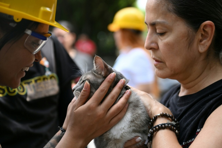 Une secouriste caresse Polux, un chat extrait des décombres après le séisme en Colombie, à Cali, le 12 août 2026 ( AFP / Raul ARBOLEDA )