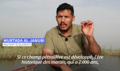 En Irak, la prospection pétrolière menace les mythiques marais mésopotamiens