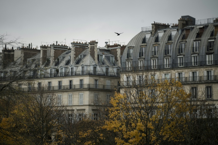 Un oiseau au-dessus des habitations près du jardin des Tuileries à Paris le 20 novembre 2017  ( AFP / Philippe LOPEZ )