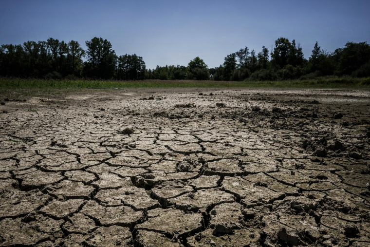 Le plateau de la Dombes, le 11 août 2023. ( AFP / JEFF PACHOUD )
