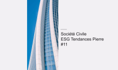 #11 SC ESG Tendances Pierre