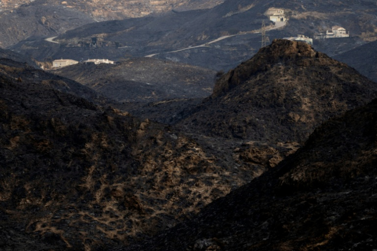 Des collines dévastées par l'incendie qui a tué 12 personnes dans le sud de l'Espagne, le 12 juillet 2026 à Bedar, dans la province d'Almeria, en Andalousie  ( AFP / JORGE GUERRERO )