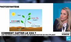 Comment capter le CO2? Les techniques d'extraction et de séquestration se multiplient