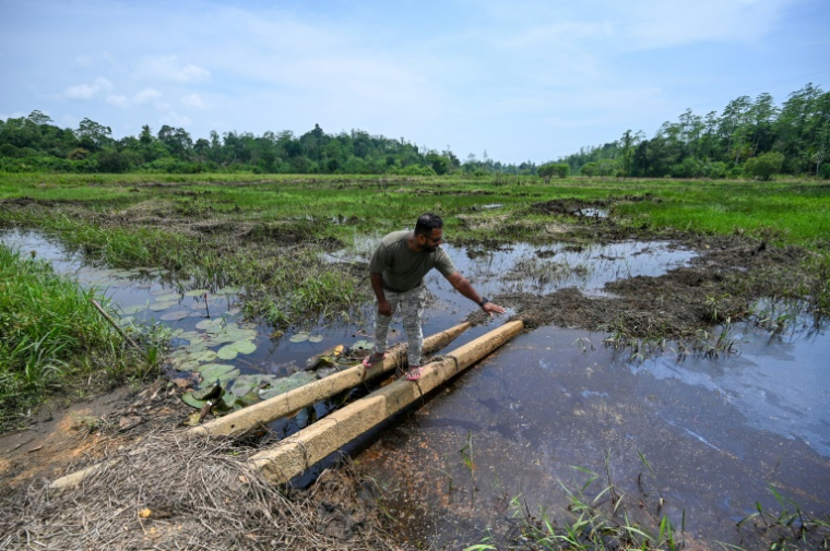 Un soldat de la Force opérationnelle spéciale sri-lankaise (STF) travaille dans une plantation à Katukurunda pour remettre en culture des champs pollués par le sel de la mer, le 28 mars 2025 au Sri Lanka ( AFP / Ishara S. KODIKARA )