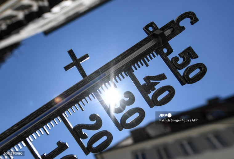 ( dpa / PATRICK SEEGER )