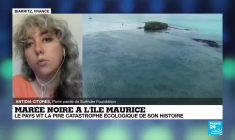 Marée noir à l'île Maurice: la pire catastrophe écologique de son histoire