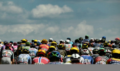 Le peloton du Tour de France lors de la 13e étape entre Dole et Belfort, le 17 juillet 2026 ( AFP / Loic VENANCE )