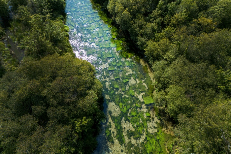 Vue aérienne du Candover Brook, un cours d’eau crayeux affluent de la rivière Itchen, près de Winchester, en Angleterre, le 25 août 2026 ( AFP / Justin TALLIS )