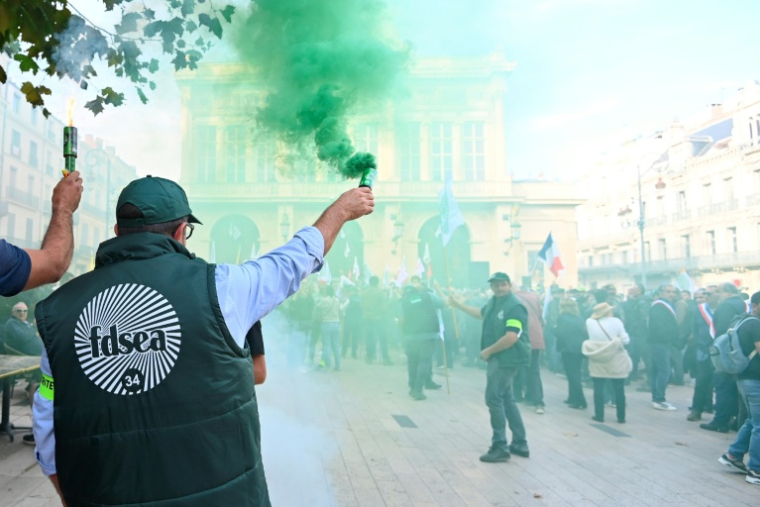 Des viticulteurs manifestent à Béziers samedi 15 novembre ( AFP / Sylvain THOMAS )