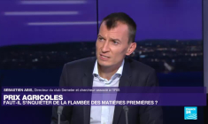 Insécurité alimentaire : va-t-on vers de nouvelles émeutes de la faim ?