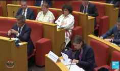 Incidents au Stade de France : "enchaînement de dysfonctionnements"