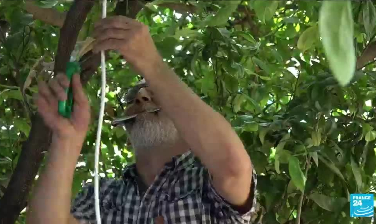 Turquie : à Iskenderun, les électeurs espèrent du changement