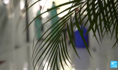 Journée mondiale de l'obésité : l'Inde face à un défi sanitaire majeur