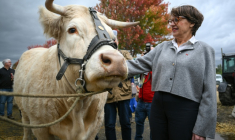 La ministre de l'Agriculture Annie Genevard au Sommet de l'élevage à Cournon-d'Auvergne dans le Puy-de-Dôme le 8 octobre 2026 ( AFP / OLIVIER CHASSIGNOLE )