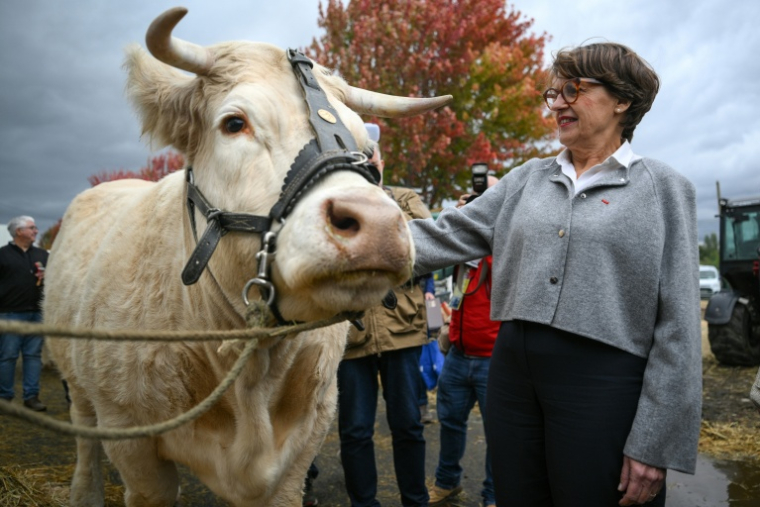 La ministre de l'Agriculture Annie Genevard au Sommet de l'élevage à Cournon-d'Auvergne dans le Puy-de-Dôme le 8 octobre 2026 ( AFP / OLIVIER CHASSIGNOLE )